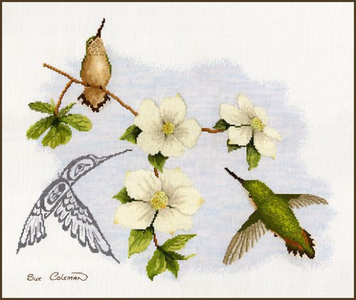 (image for) Dogwood And Hummingbird